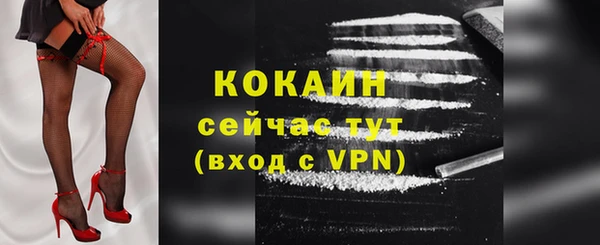 ешки Мегион