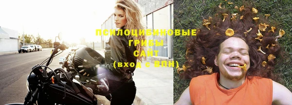ешки Мегион
